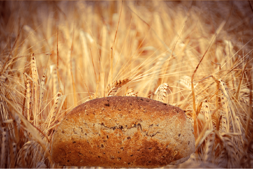 pancarré with ancient grains 